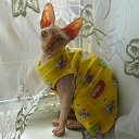 ���� ���������, ���� - ��������� 17 ������� 2011 � ������ ���� ����������