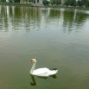 ���� ������, ��������� - ��������� 9 ���� 2012 � ������ ���� ����������