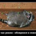 ���� ������, ������ - ��������� 26 ������ 2012 � ������ �������