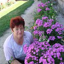 ���� �����, �����, 79 ��� - ��������� 24 ������� 2013