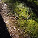 ���� ����, �����-���������, 50 ��� - ��������� 29 ���� 2012 � ������ ������������