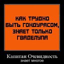 ���� �, �����, 44 ���� - ��������� 31 ������ 2011