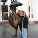 ���� �����, ������ - ��������� 11 ��� 2011