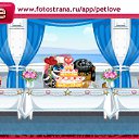 ���� �����, ��������������, 46 ��� - ��������� 19 ������ 2011 � ������ �PetLove�