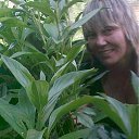 ���� ������-�, ����, 63 ���� - ��������� 26 ��� 2010 � ������ ���� ����������