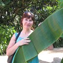 ��������� ������������ ���
"�����" �� ������� ������� 2013�