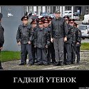 ���� ��������, ���������, 64 ���� - ��������� 3 ����� 2012 � ������ ����� ������ �� ������!�