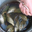  , -, 63  -  20  2009   