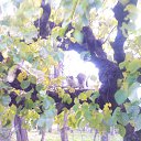 ���� Dark Snow, ������, 47 ��� - ��������� 2 ������� 2012 � ������ �����ܻ