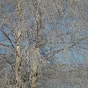 ���� �����, ��������, 40 ��� - ��������� 30 ������ 2011 � ������ �������