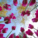 ���� ����� - ���������� ��������!!!, �����������, 56 ��� - ��������� 21 ������ 2010 � ������ ��������ۻ