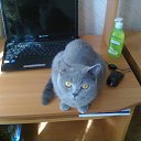 ���� ������ �������� ����������, �� 25.09., ���������� �����, 58 ��� - ��������� 27 ������� 2012 � ������ ���������� ������