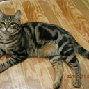 ������ (������� � ����� ���������� ������) �� ������� ������