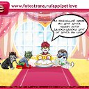  , , 37  -  15  2011   PetLove