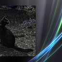 ���� Natalya, ��������, 56 ��� - ��������� 11 ������� 2011 � ������ ����� ����, ���� � &amp;�