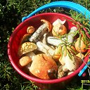 ���� Saha., �����, 75 ��� - ��������� 13 ������� 2011 � ������ ���� ����������