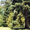 ���� ����� ��������, �������, 70 ��� - ��������� 23 ������� 2012