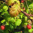 ���� ��������, ����, 53 ���� - ��������� 23 ���� 2009 � ������ ������������