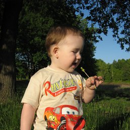 ���� �������, ��������, 40 ��� - ��������� 15 ���� 2010