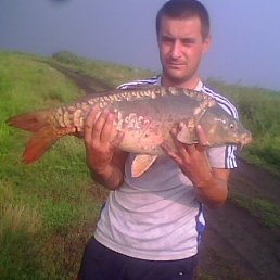 �������, ���������, 42 ����