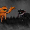 ���� ������, �����, 27 ��� - ��������� 14 ������ 2012 � ������ ���� ����������