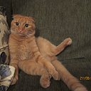 ���� Semen, ������, 27 ��� - ��������� 11 ���� 2013 � ������ ���� ����������