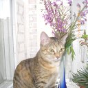 ���� �����, ������������, 50 ��� - ��������� 5 �������� 2010 � ������ �2010�