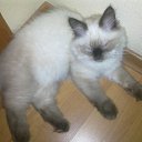   ( ),  -  22  2012     Ҹ!!!