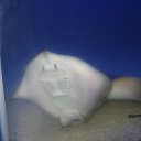 ���� �����, ������ �������� - ��������� 11 ��� 2010 � ������ �������