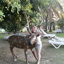 ���� �������, ������, 48 ��� - ��������� 5 ������ 2013 � ������ ���� ����������