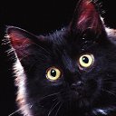  00, , 41  -  15  2013    