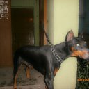 ���� �����, ���������, 51 ��� - ��������� 11 ������� 2012 � ������ �������