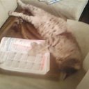 ���� �����, ���������, 46 ��� - ��������� 8 ������� 2011