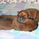  ,  -  3  2010    ,, ۻ