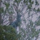 ���� ���������, �����-����, 43 ���� - ��������� 14 ������ 2011