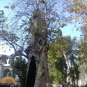 ���� ���������, �����, 51 ��� - ��������� 15 ������ 2010 � ������ ��������. ������ 2010�