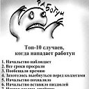 ���� �������, ������ - ��������� 5 ���� 2013 � ������ ���� ����������