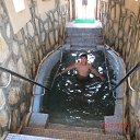 ���� ������, ������, 38 ��� - ��������� 14 ��� 2011 � ������ ���� ����������