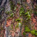 ���� Svann, ���������, 71 ��� - ��������� 11 ���� 2013 � ������ ���������� �� �������