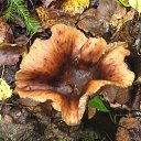 ���� ���, ����� - ��������� 18 �������� 2011 � ������ ��������� ������������