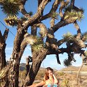 ���� �����, ������, 39 ��� - ��������� 26 ���� 2013 � ������ ���� ����������