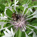 ���� �������, �����-��������� - ��������� 4 ������ 2010 � ������ �����,������