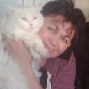 ���� �����, ������ - ��������� 9 ��� 2013