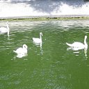 ���� Antoha, ������ - ��������� 19 ��� 2012 � ������ ���� ����������