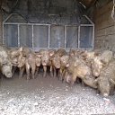 ���� ���������, ������, 45 ��� - ��������� 8 ������ 2012