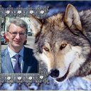 ���� ��������, ������ ��������, 53 ���� - ��������� 4 ������� 2012 � ������ ���� ����������