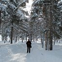 ������ ���� ����-��������� �� ������� ���������