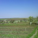 ���� ������, �����, 47 ��� - ��������� 23 ������� 2010 � ������ �PetLove�