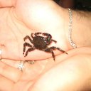  Stark, - -  18  2011    