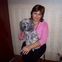 ���� �������, ������, 61 ��� - ��������� 6 ���� 2012